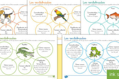 animales vertebrados al descubierto conoce su clasificacion y caracteristicas
