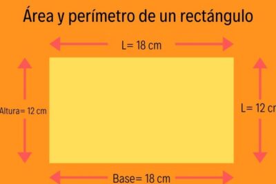 calcula el perimetro de un rectangulo en segundos con estos consejos