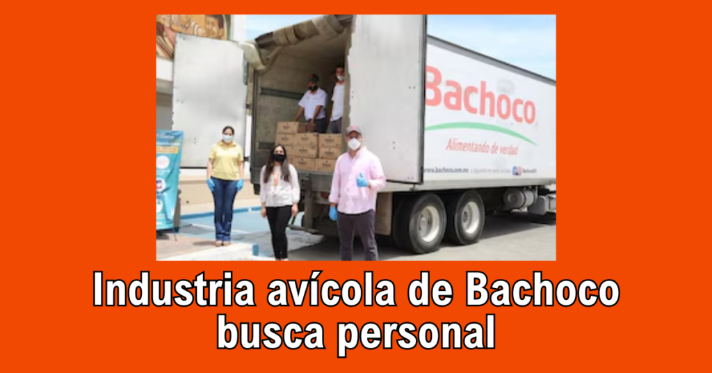 Industria avícola de Bachoco busca personal 1 Industria avícola de Bachoco busca personal