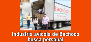 Industria avícola de Bachoco busca personal