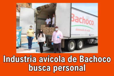 Industria avícola de Bachoco busca personal